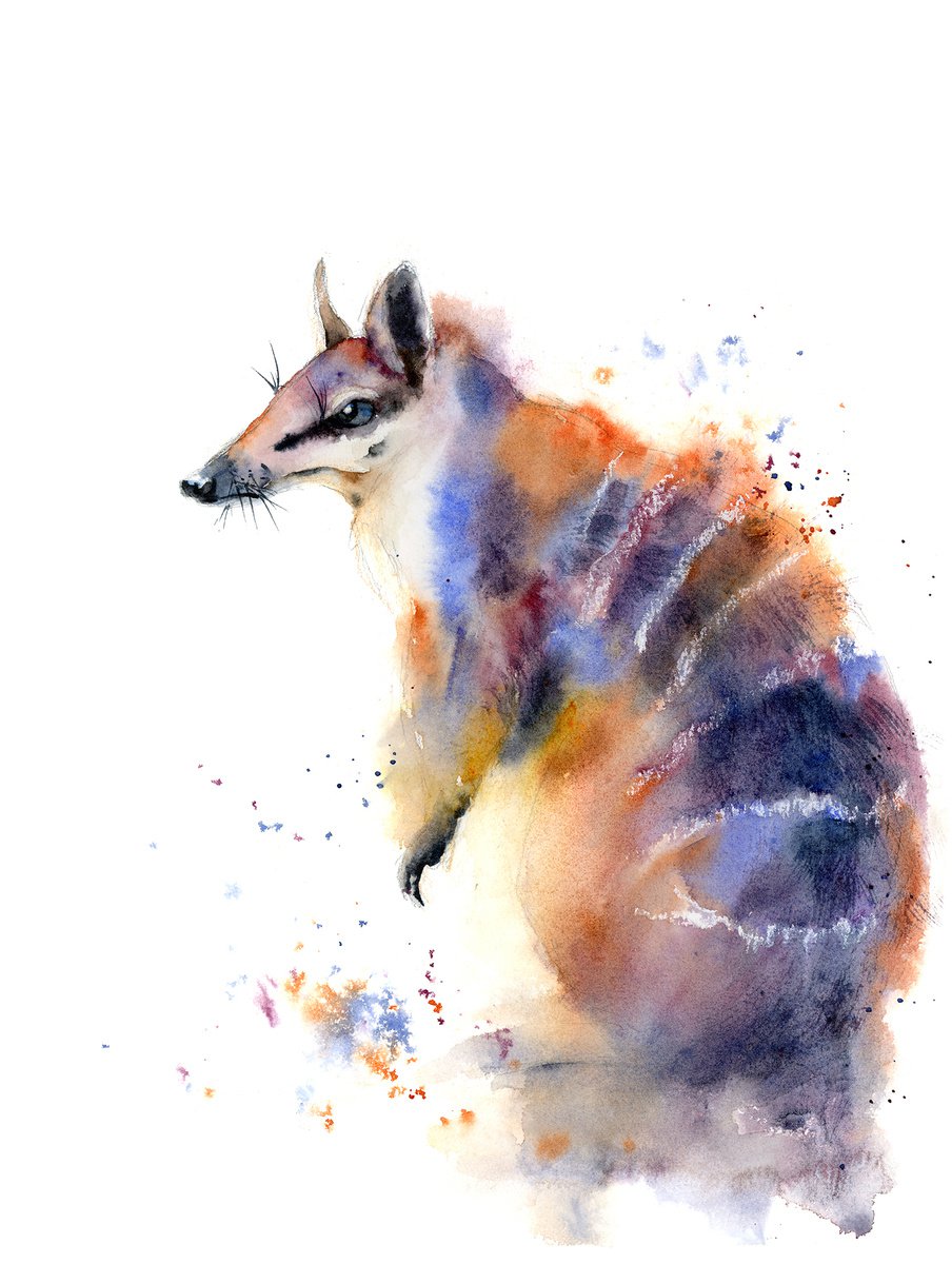 Impressionistic Animal Watercolour By Olga Tchefranov (Shefranov), 11 X 15", Numbat, Original Artwork