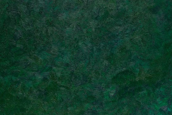 Emerald Forest