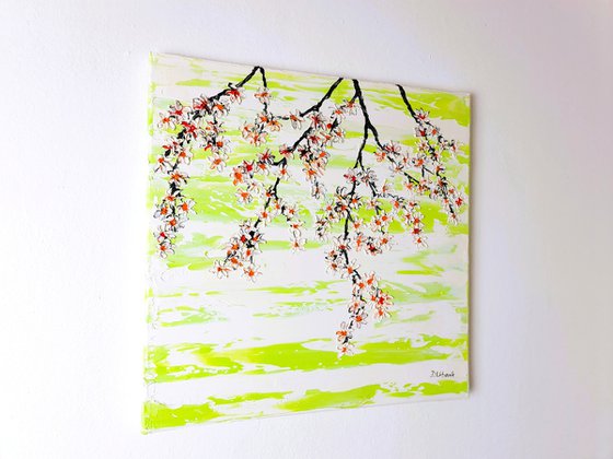 Cherries in the spring 2