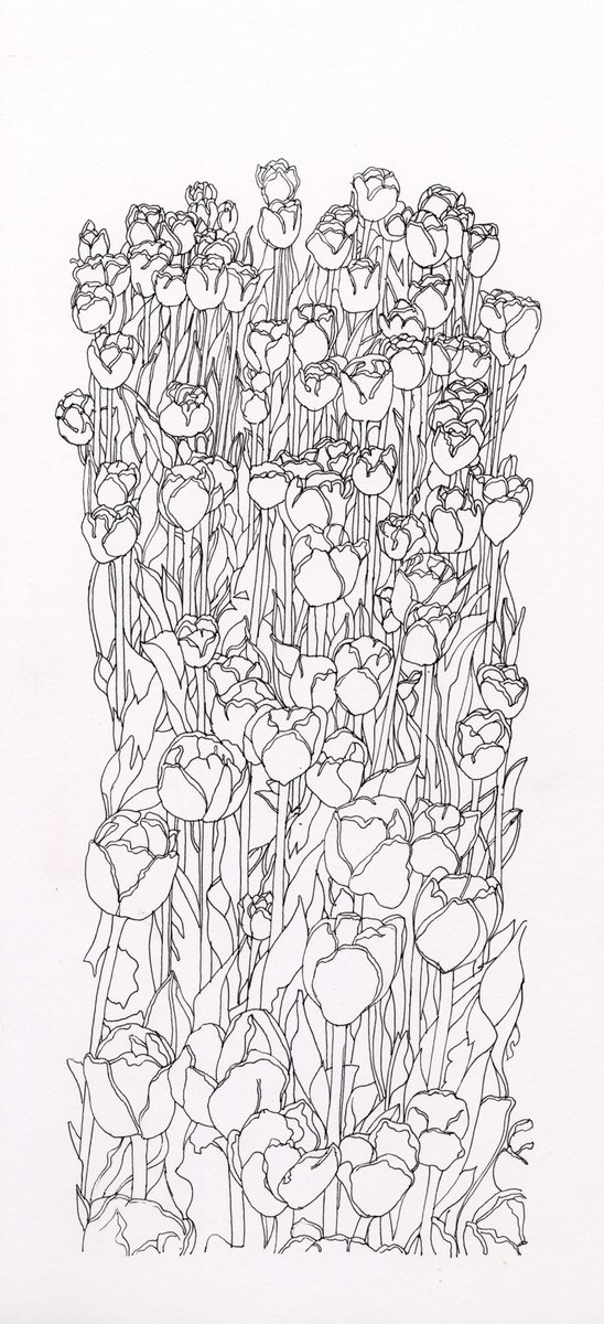 Botanical Ink Drawing By Nives Palmic, 7 X 15", Tulip Fever Vii, Original Artwork