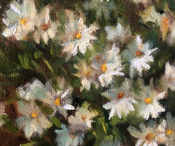 Daises. Floral Still Life, Original Oil Painting. Framed