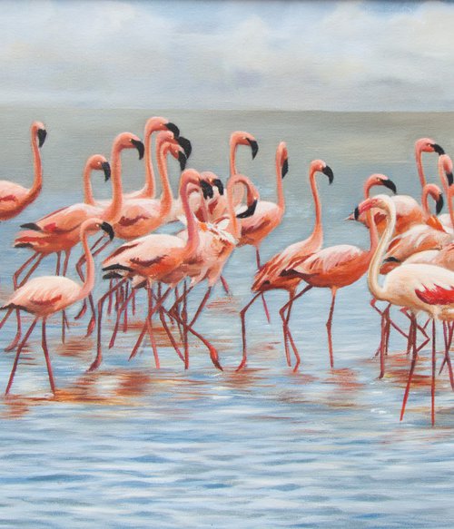 Flamingos by Norma Beatriz Zaro