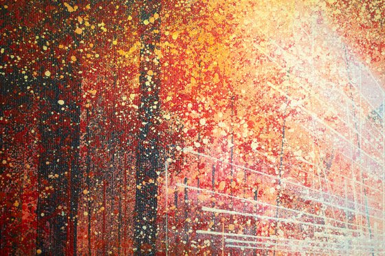 Forest At Sunset