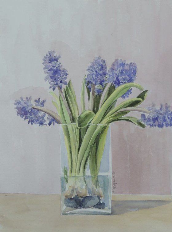 Hyacinths in a vase