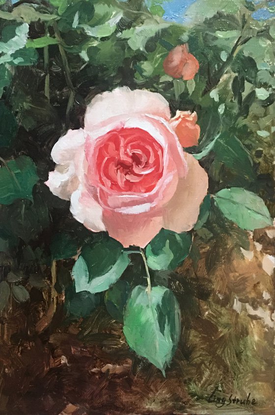 Rose Garden #01