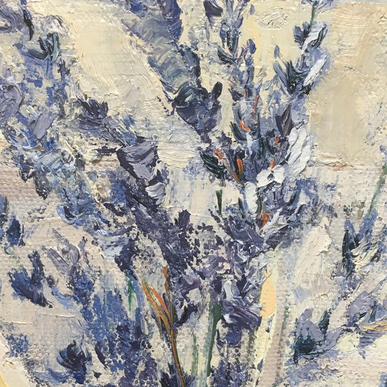 English Lavender in France