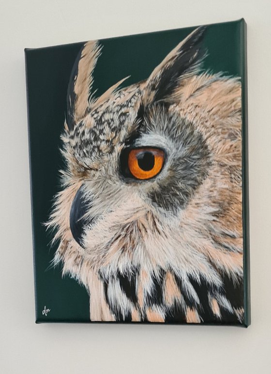 Owl