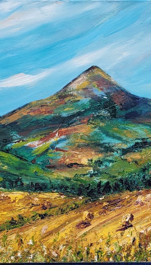 Breezy harvest Sugarloaf by Niki Purcell