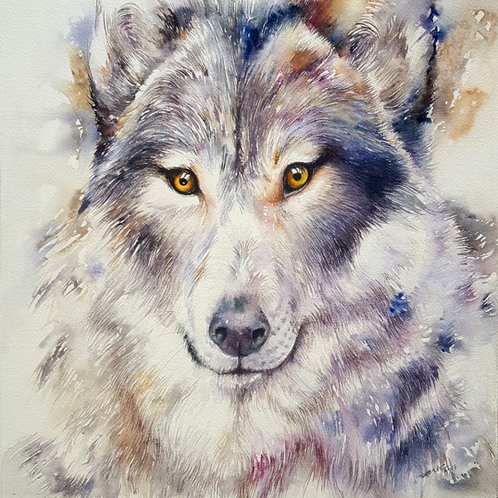Gray Wolf Gregory