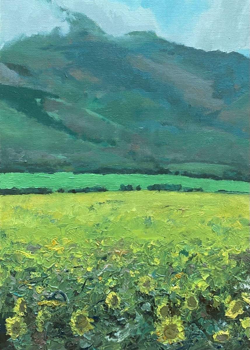 Impressionistic Landscape Oil Painting By Bohdan Vykhrenko, 10 X 14, Sunflower Valley, Original Artwork