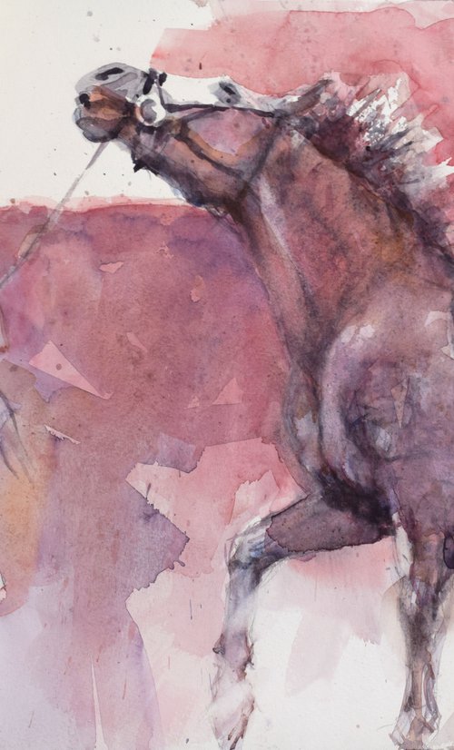 Horse in training by Goran Žigolić Watercolors