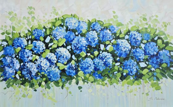 Blue Hydrangea Garden