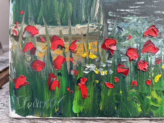 Red poppies by the water. Pleinair painting