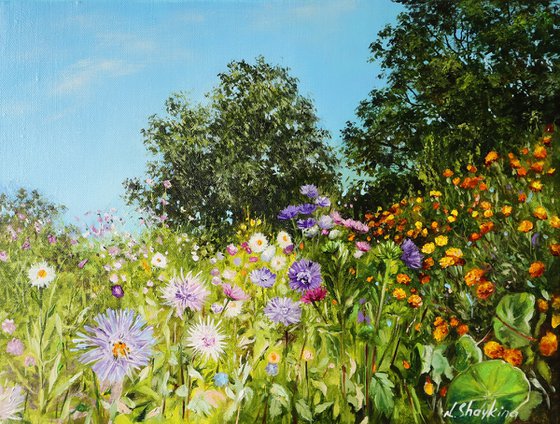 Vibrant Summer Garden