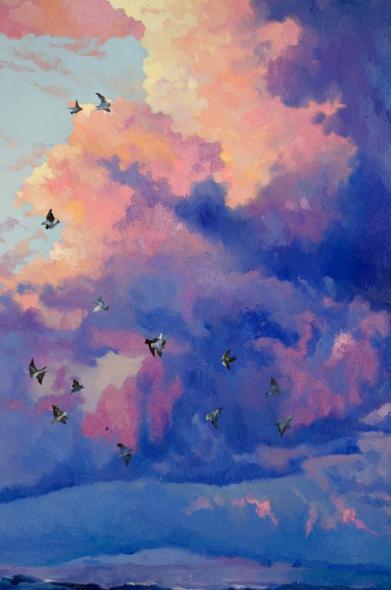 Gulls