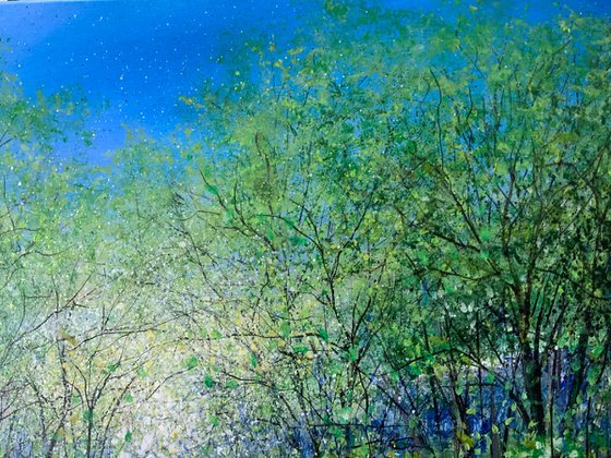 Misty Bluebells