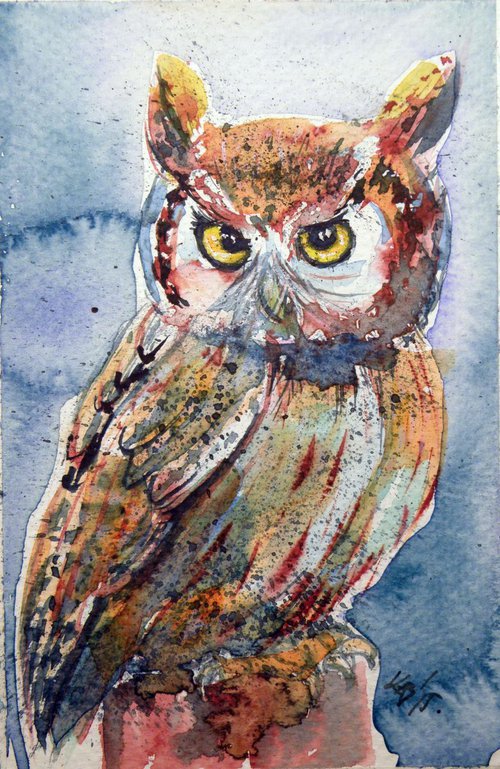 Little owl II by Kovács Anna Brigitta