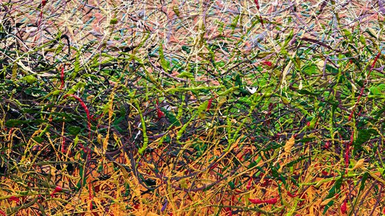 Whispers in Amber