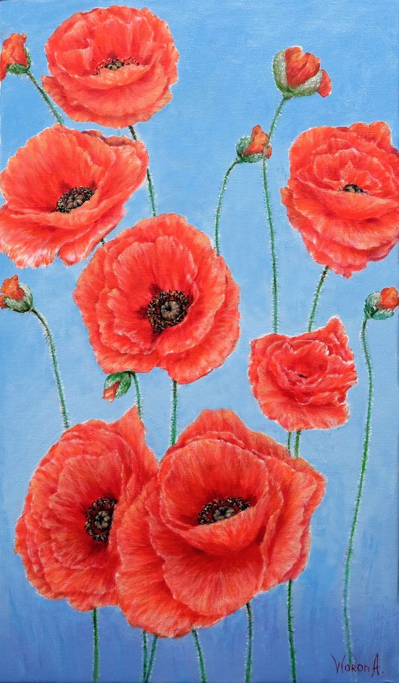 Poppies on blue.