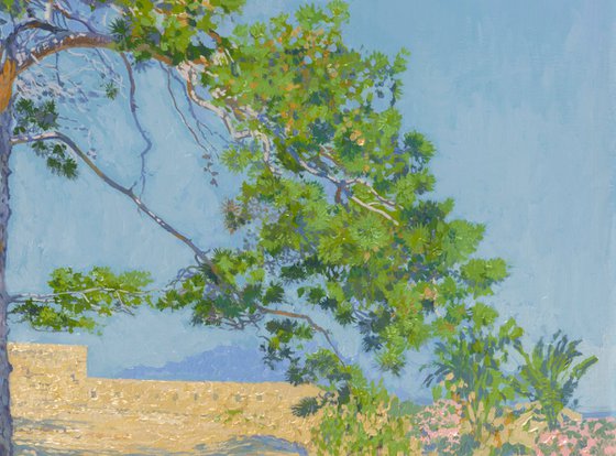 Pine trees in Fortezza. Crete