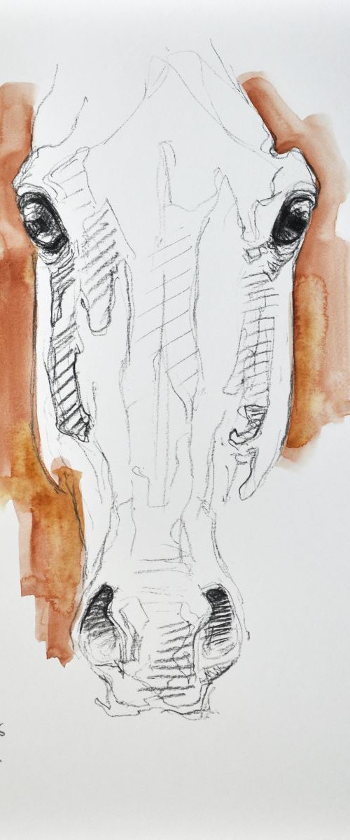 Alert 9t by Benedicte Gele