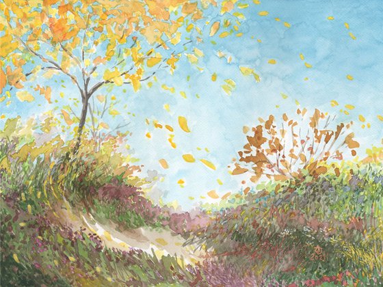 Autumn colors - Sunny meadow