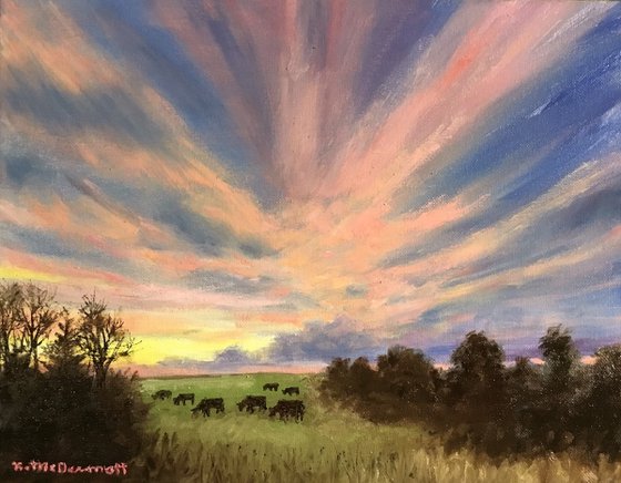 CATTLE PASTURE SKY SHOW
