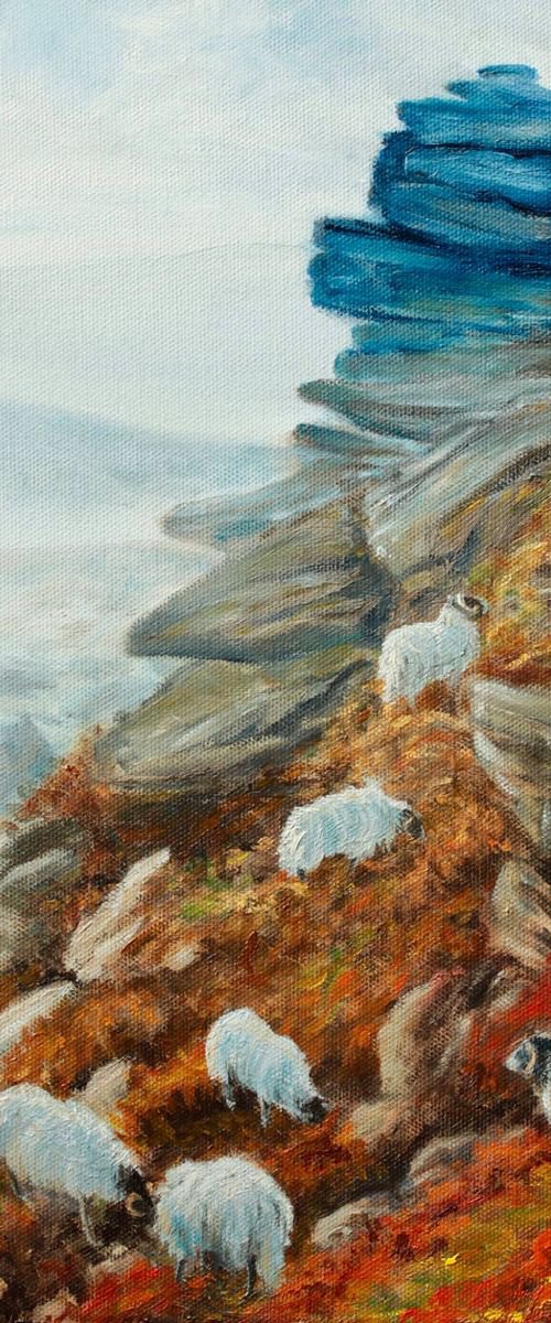 Fell Sheep by Kristi Herbert