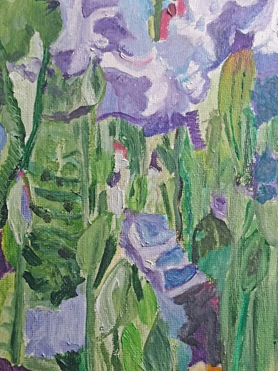 Irises flowers