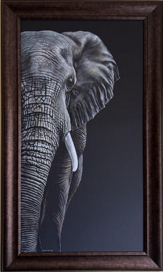 'Tembo' Elephant