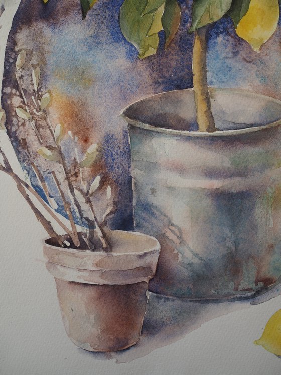 Country still life with lemon tree - original watercolor