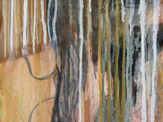 Veil of Flesh Series