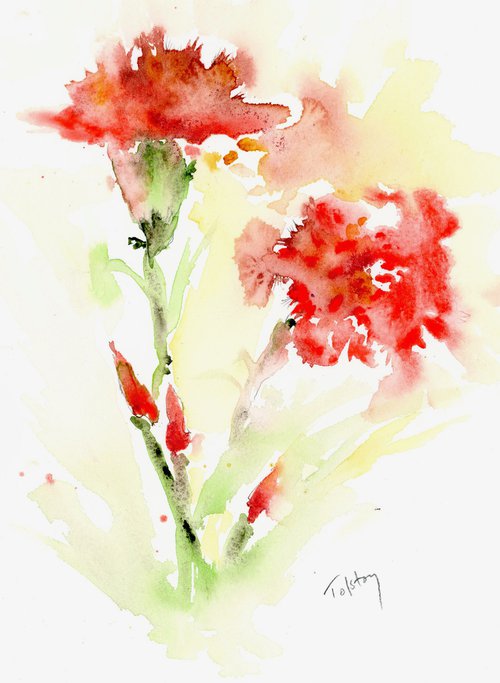 Carnations by Alex Tolstoy