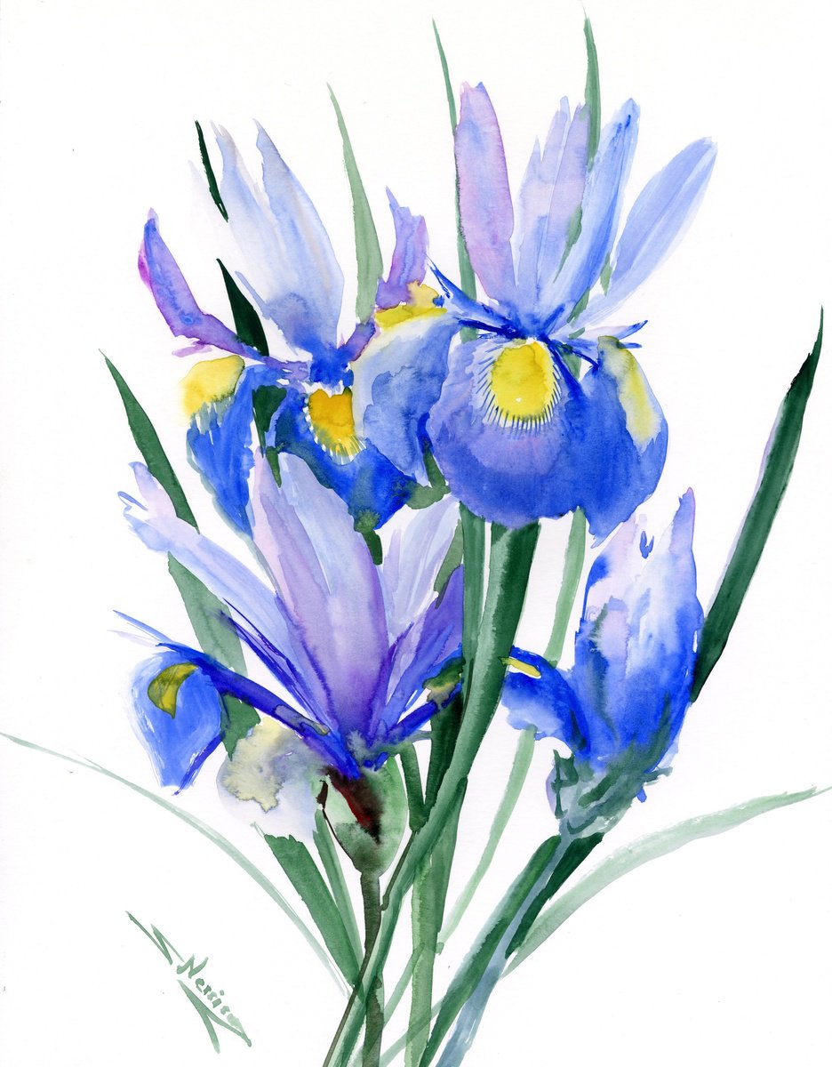 Blue Dutch Iris Flowers by Suren Nersisyan