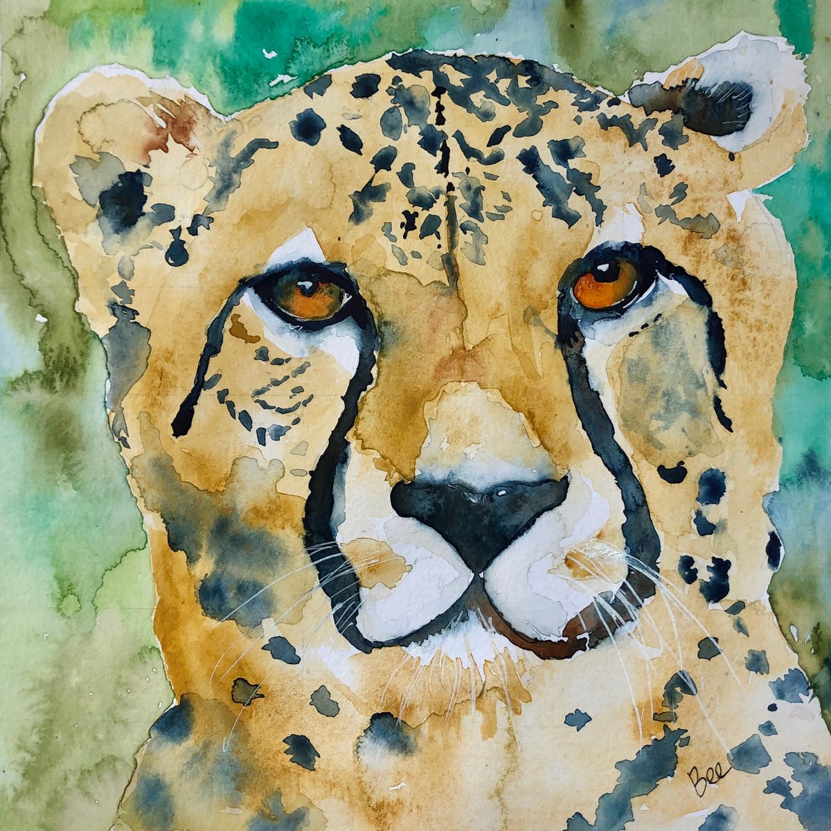Cheetah by Bee Inch