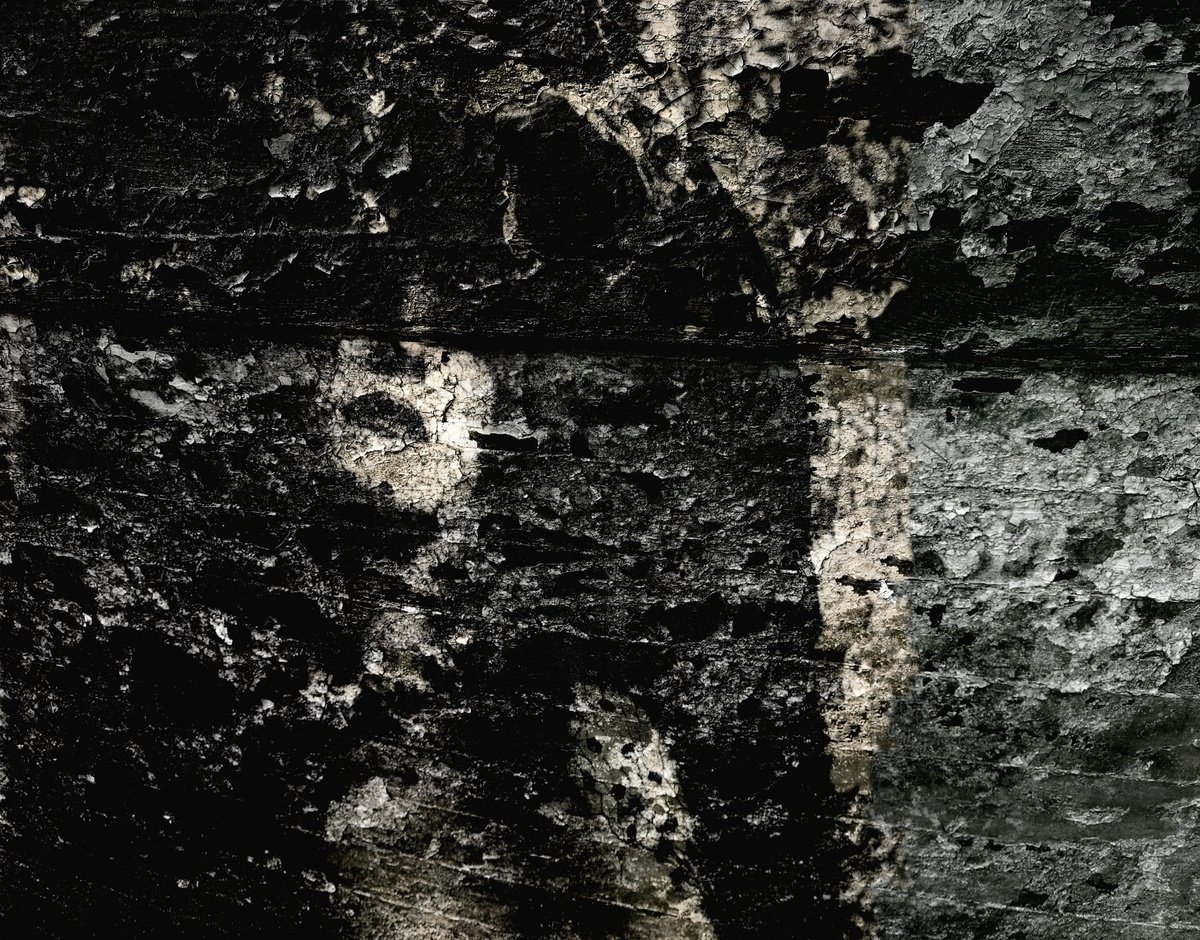 Surrealistic Portrait Photograph By Philippe Berthier, 30 X 24", Madame S