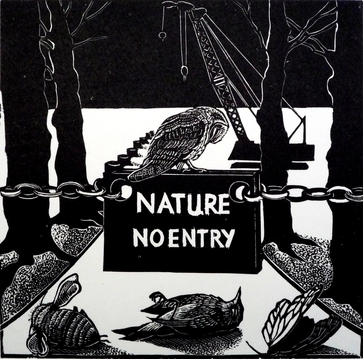[framed] Nature No Entry by Rebecca Coleman
