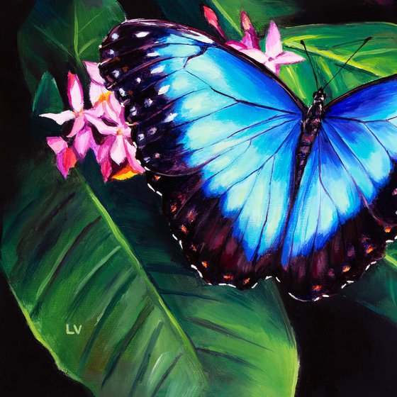 Blue butterfly and pink flowers