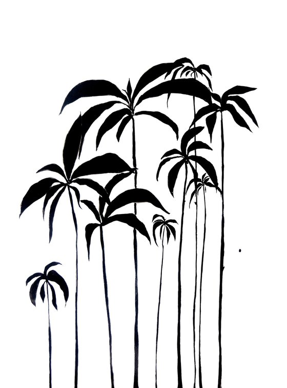 Palms