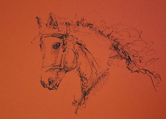 Horse