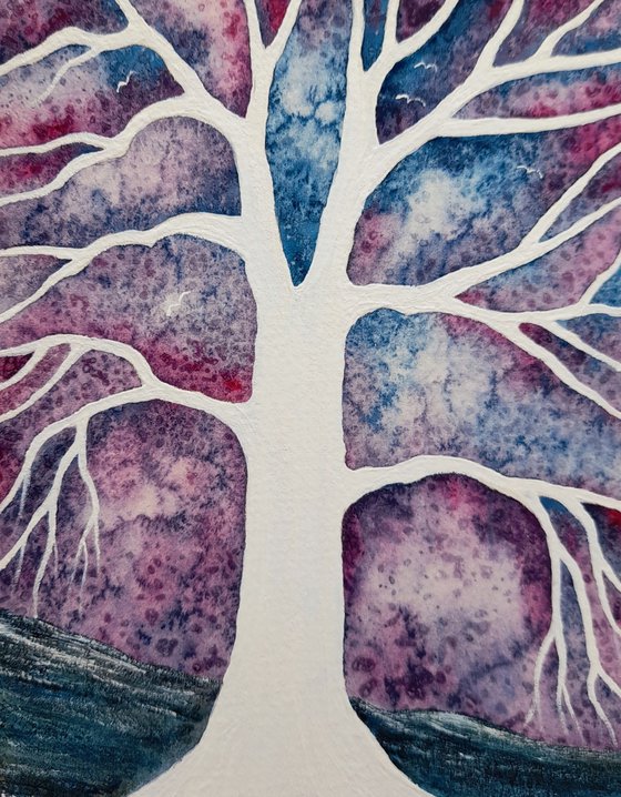 Quiet Calmness + Light in the Storminess