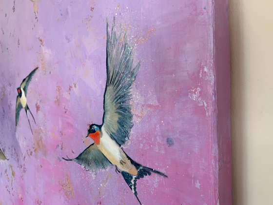 Swallows and Butterflies
