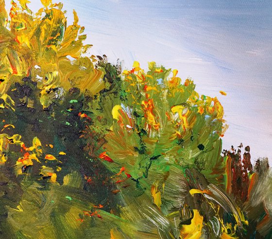 Romantic Summer Lake A 1