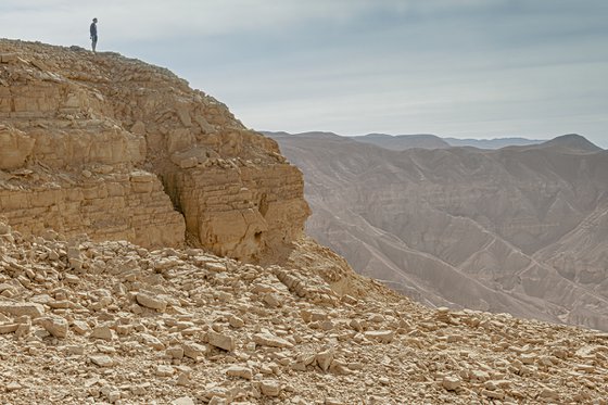 Only the desert