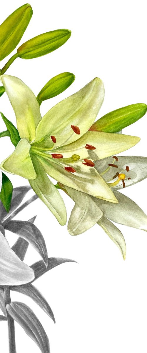 The Edge II by Anna Lyashenko