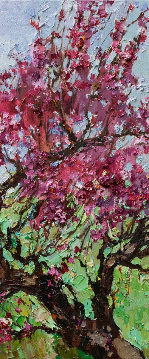 Flowering peach tree by Anastasiia Valiulina