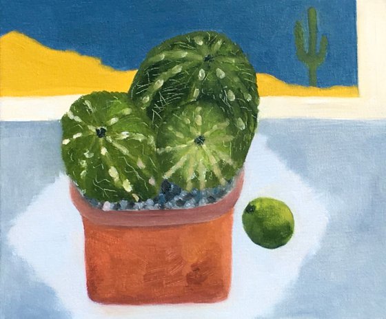 Cacti and lime dreaming of freedom