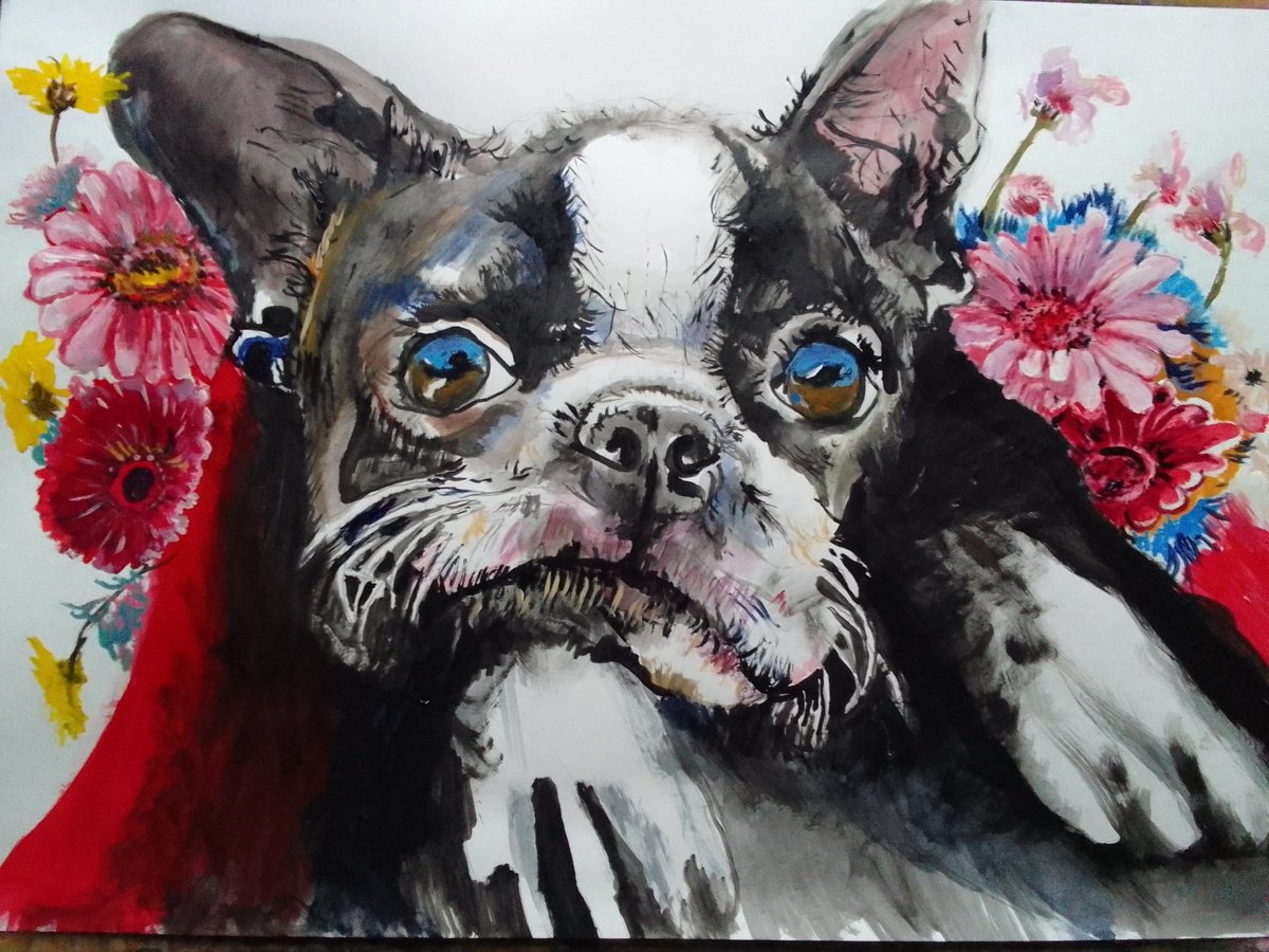 Photorealistic Animal Acrylic Painting By Soso Kumsiashvili, 33 X 24", Bostonterrier, Original Artwork