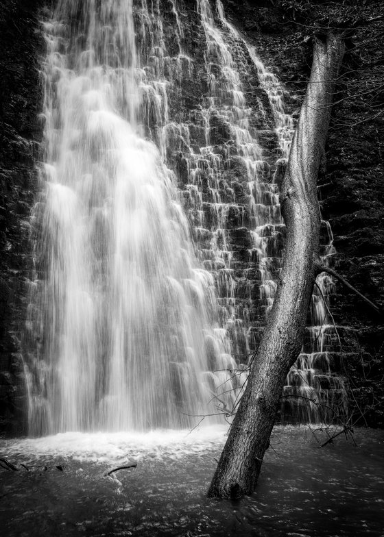 Falling Foss - North Yorkshire Moors