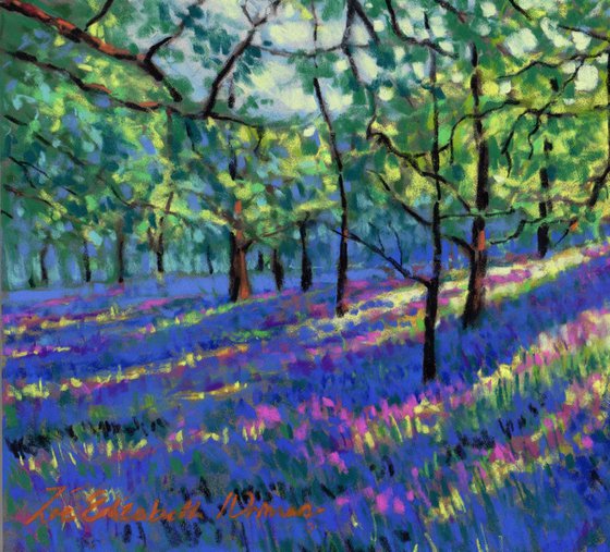 Bluebells